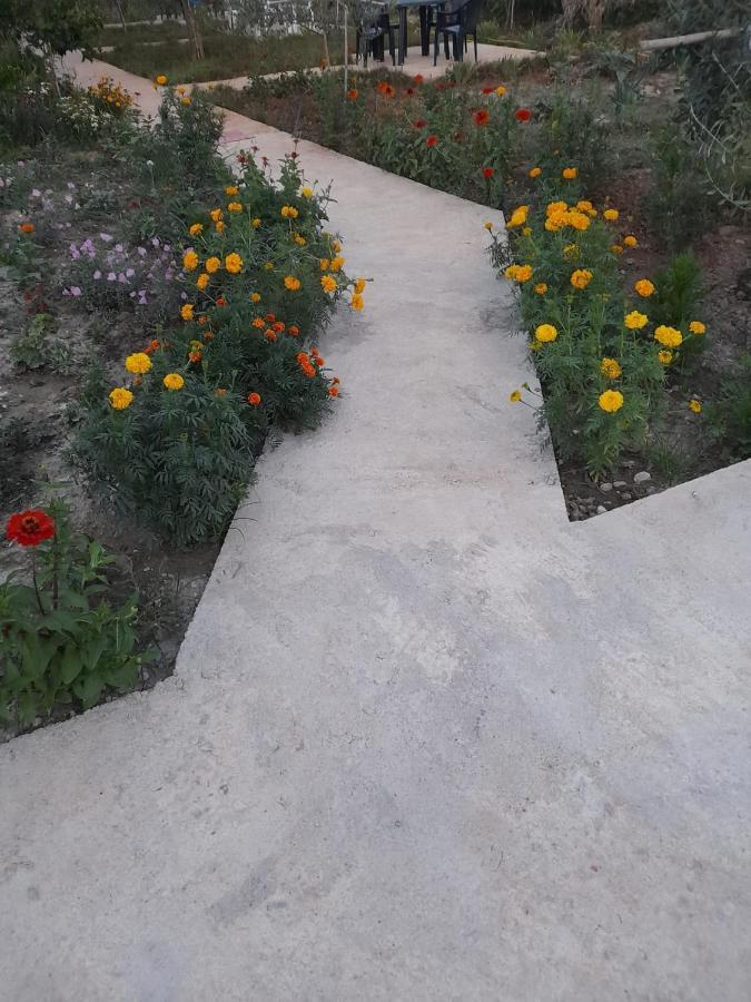 Rey Garden 2 Hotel Vlore Ngoại thất bức ảnh