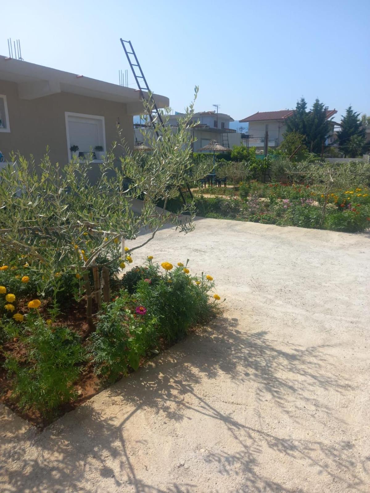 Rey Garden 2 Hotel Vlore Ngoại thất bức ảnh